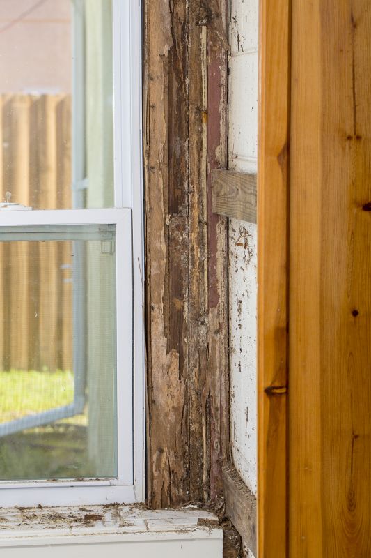 Dry Rot Repair