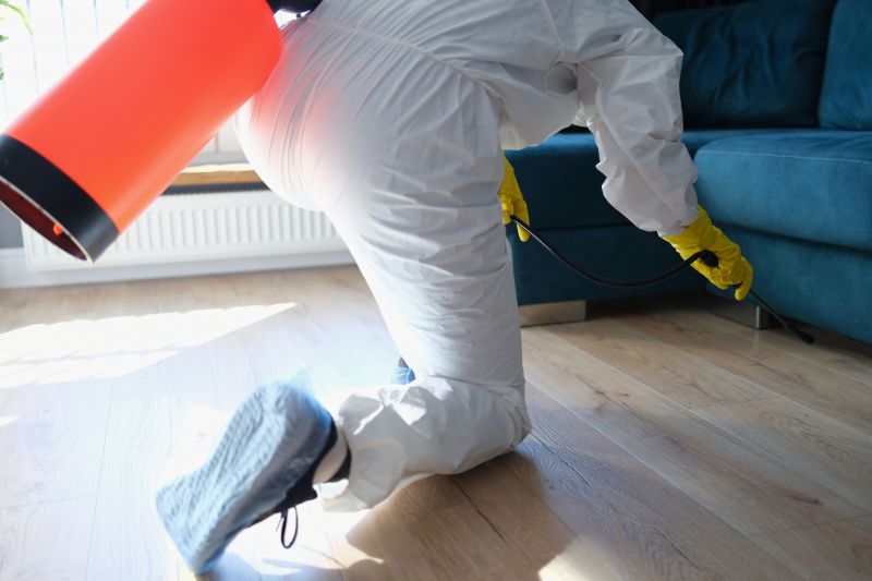Pest Damage Repair