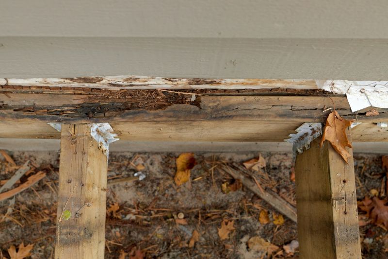 Pest Damage Repair