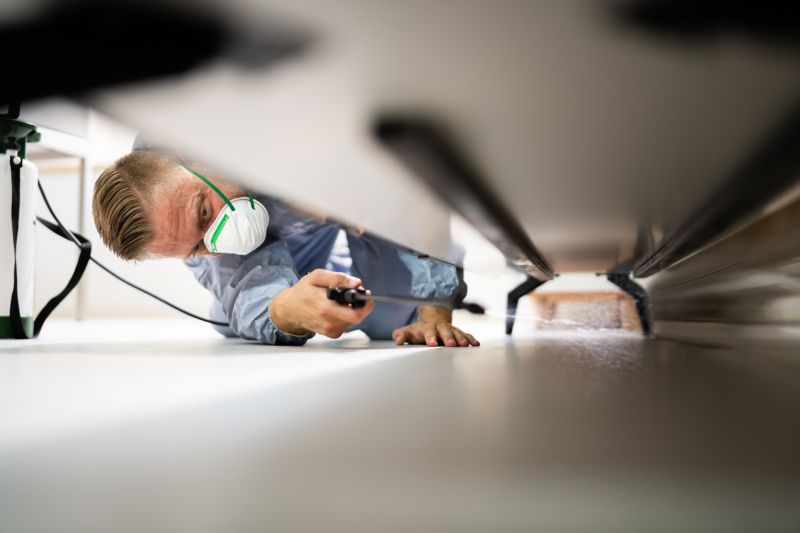 Pest Damage Repair