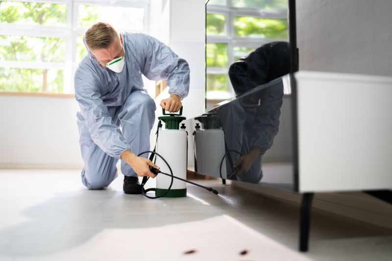 Pest Damage Repair