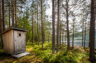 Shed Building